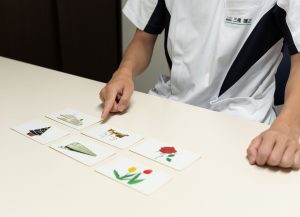 言語聴覚士<br>（ST）